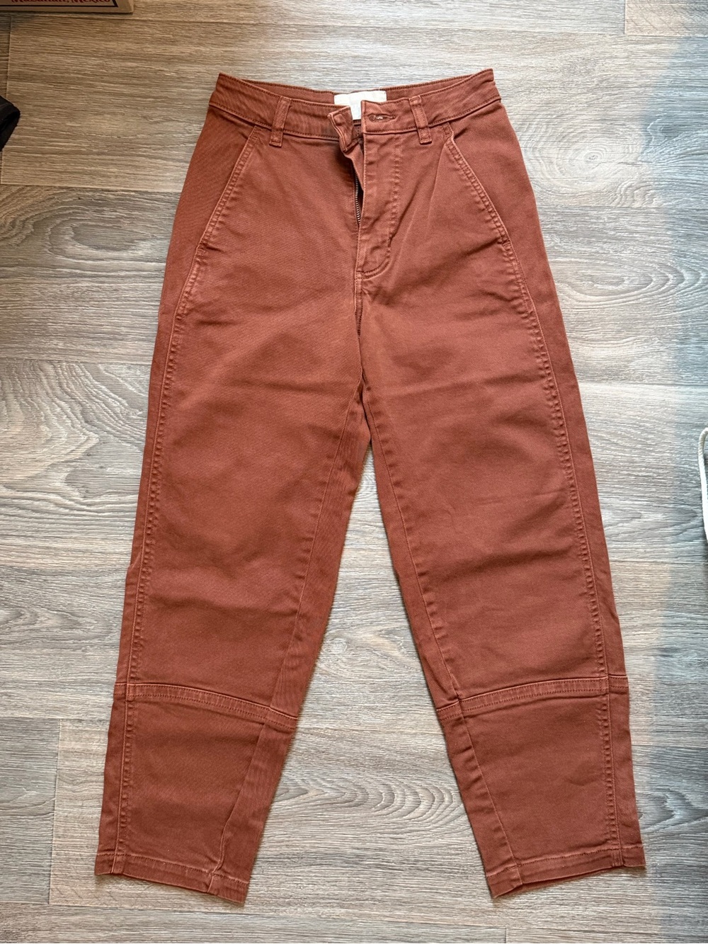 Everlane Barrel leg Rust Pants